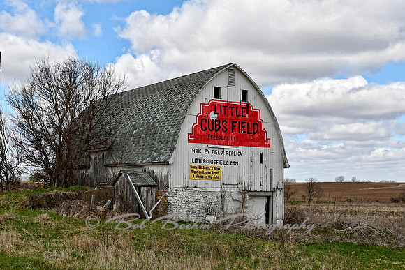 Little Cubs Field - Spring