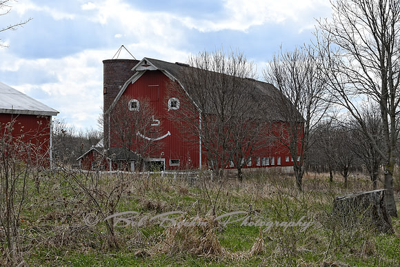 Happy Face