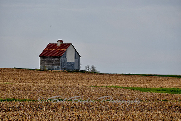 Alone on the Prarie