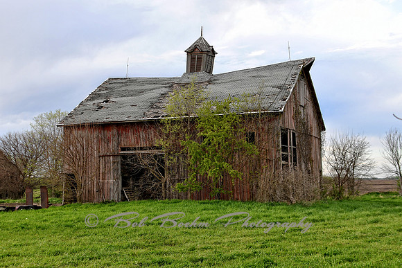 Grand Barn IV