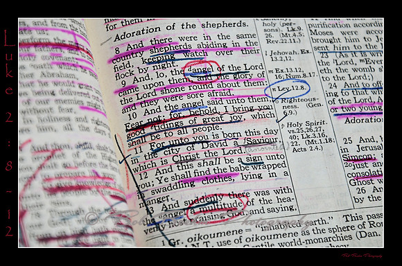 3 Luke 2 8 12