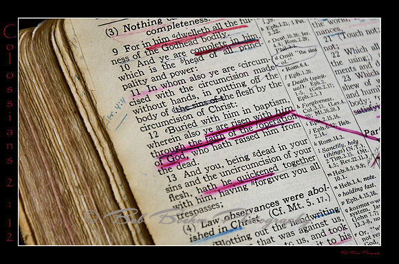 12 Colossians 2 12
