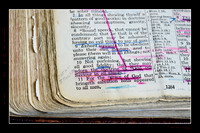 17 Titus 2 11
