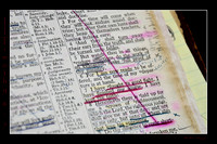 16 2 Timothy 4 7