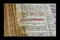 11 Philippians 3 14