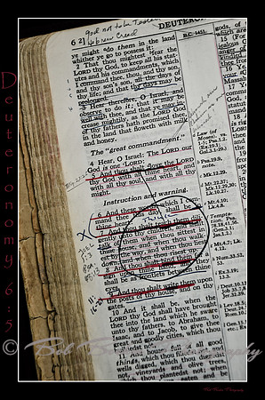 5 Deuteronomy 6 5