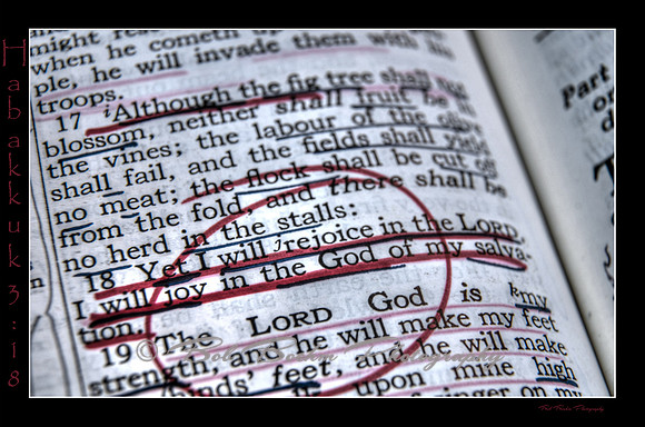 Habakkuk 318