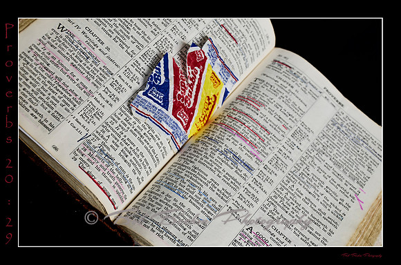 20 Proverbs 20 29