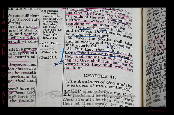 Isaiah 40 31