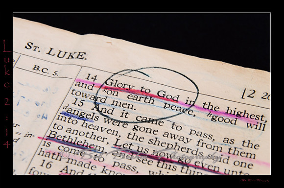 Luke 2 14