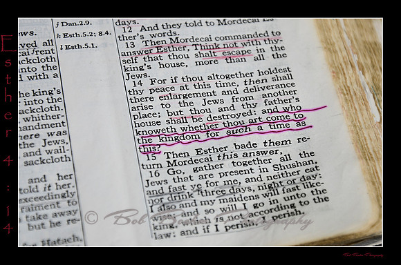 17 Esther 4 14