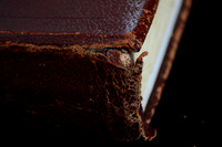 BJB_8217