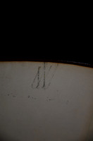 BJB_7986