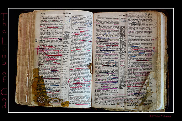 The Lamb of God