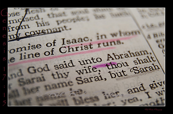 Genesis 17 15