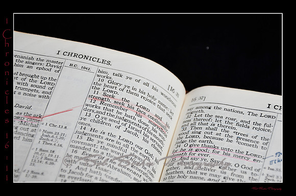 13 1 Chronicles 16 11