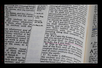 3 Leviticus 11 45