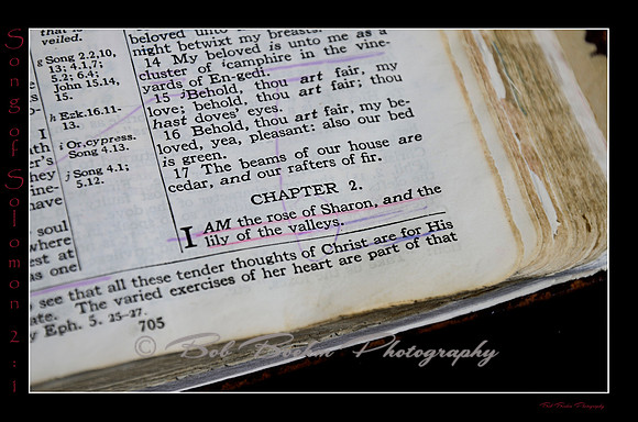 22 Song of Solomon 2 1