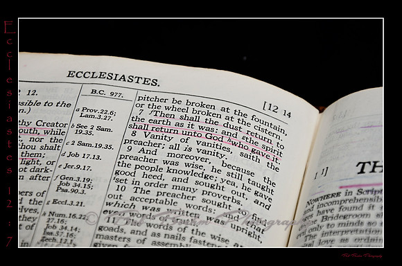 21 Ecclesiastes 12 7