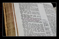 10 2 Samuel 22 47