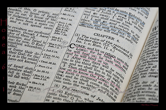 28 Hosea 6 1