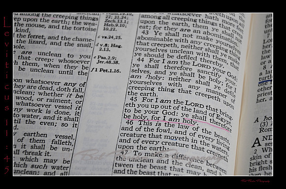 3 Leviticus 11 45