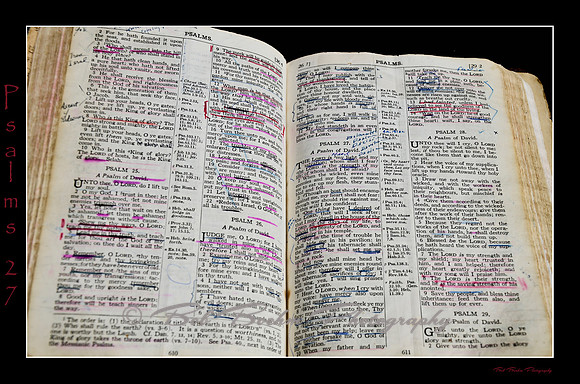 19 Psalms 27