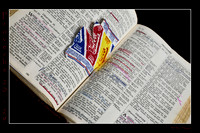 20 Proverbs 20 29