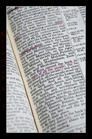 16 Nehemiah 8 5