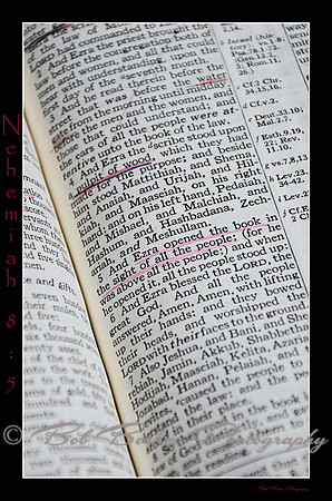16 Nehemiah 8 5