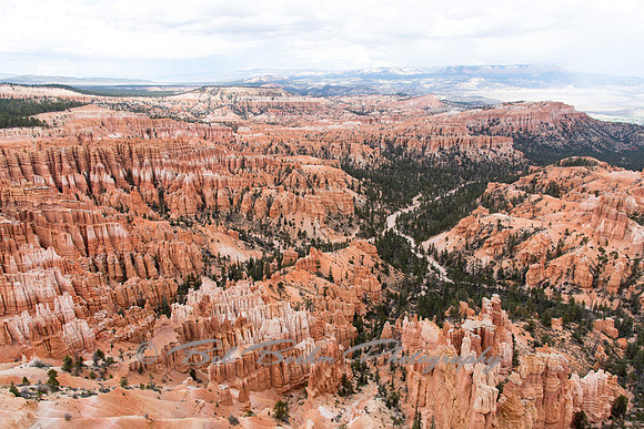 _7507909