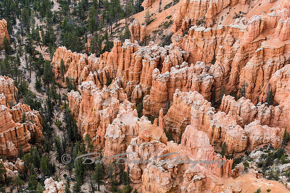 _7507881
