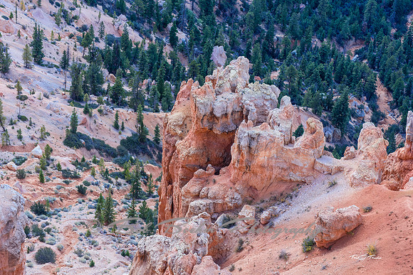 _7507677