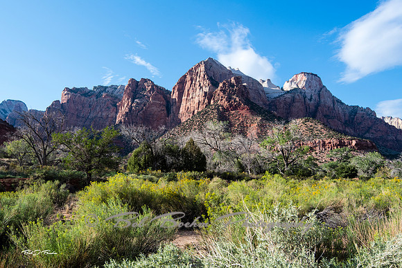 _7507145