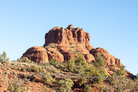 _7506296