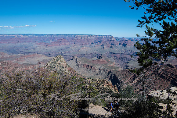 _7506577