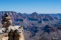 Grand Canyon - Duck on a Rock