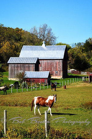 Iowa Horse Barns 7845