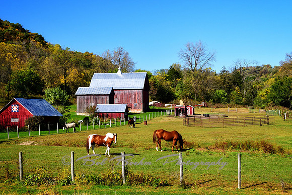 Iowa Horse Barns