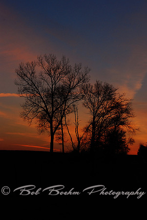 030411 Morning Colors