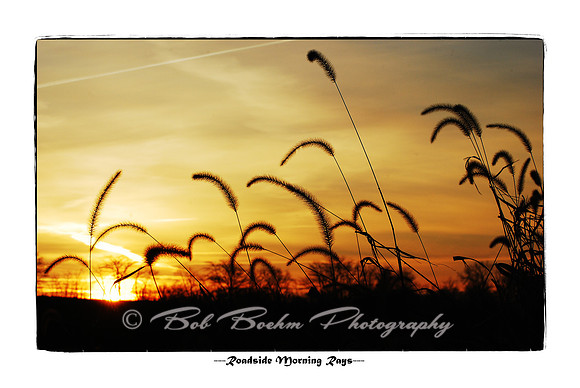 011011 Roadside Morning Rays