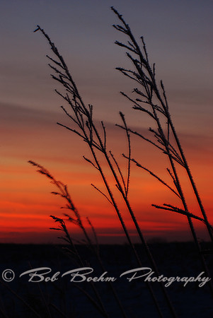 011711 Morning Glow