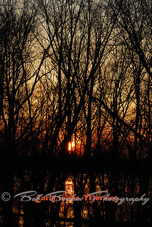 031211 Early in the Morning