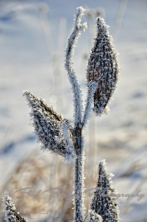 _BJB1723