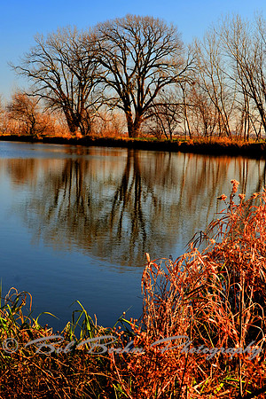 112611 Shoreline Reflections
