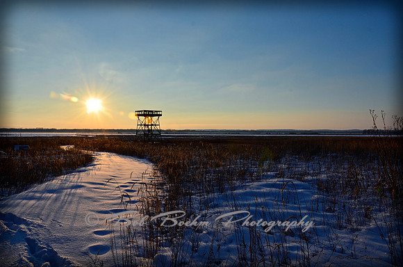 Observation Tower