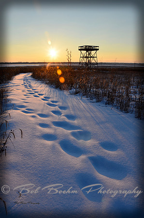 Observation Tower Pathway