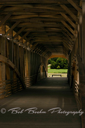 Looking From the Inside Out