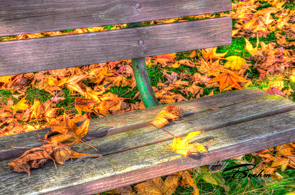Johnson Sauk Bench 2