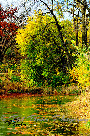 Johnson Lake 3